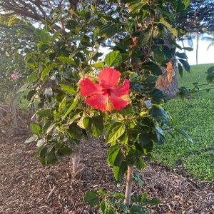 Listing Information 😁 Not For Sale